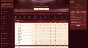 Image: Dépêchez-vous de Réserver vos Promos Magius Casino Exclusives en France